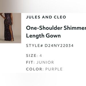 Formal/Holiday Dress